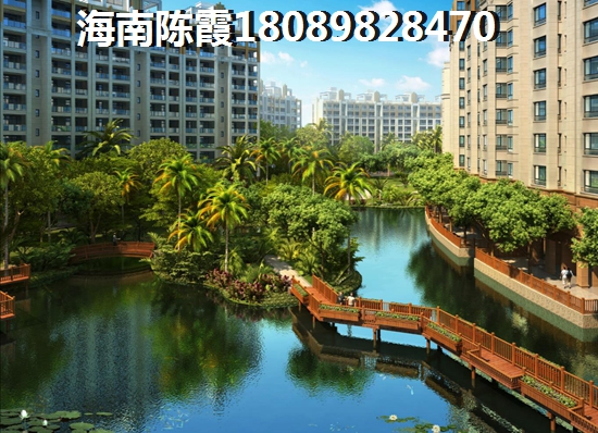 海南二手房养老分析